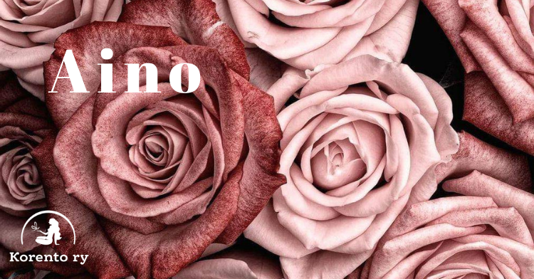 Banneri_Aino
